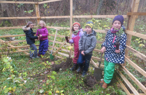 SteinMalEins_Projekt_Gib Abfall einen Korb_Pflanzaktion_Tigeraugen_11_2017