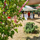 Geburtstagsfeier Pi mal Daumen 2023