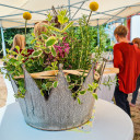 Geburtstagsfeier Pi mal Daumen 2023