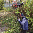 Garteneinsatz in der Kita Schwabenhaus November 2019