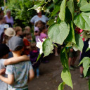 Schwabenhaus-Festwoche zum 30-jährigen Jubiläum_Montagsch