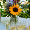 Schwabenhaus - Tag der offenen Tür 2022