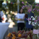 Schwabenhaus - Tag der offenen Tür 2022