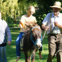 Eselmiteinander in den WUBAMI Wochen