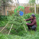 Garteneinsatz 2019 4