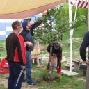 Garteneinsatz 2019 9