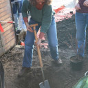 Pflanzaktion Ahornbaum