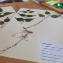 Neuland Präsentation 2024