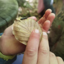 Preisverleihung "Ecki"