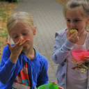 Schwabenhaus: Kartoffelernte 3