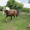 Jupiterfahrt Stern 6