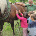 Jupiterfahrt Stern 7