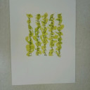 Projektarbeiten Klasse 10