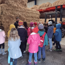 Ethik-Projektwoche zum Thema "Umwelt und Mitwelt"