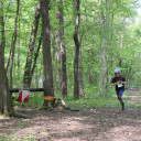 ...schnell durch den Wald zur nächsten Station