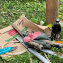 Garteneinsatz Schwabenhaus 2021 (2)